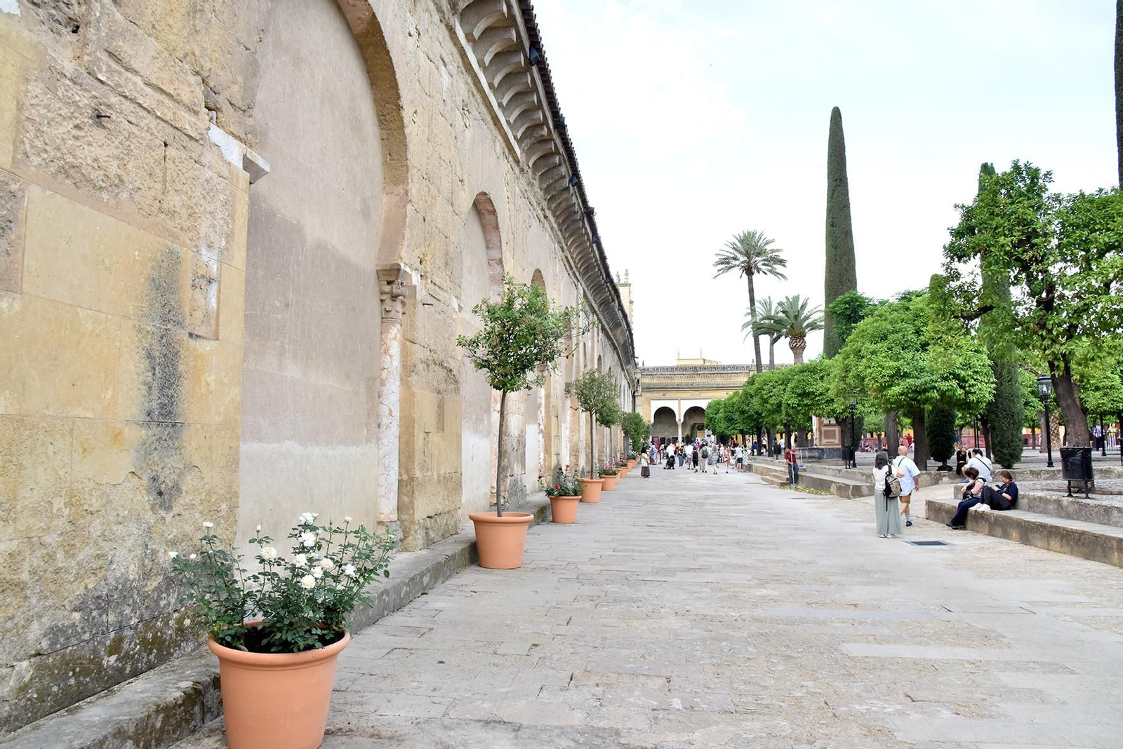 La nueva ornamentación floral del Patio de los Naranjos de la Mezquita de Córdoba, en imágenes