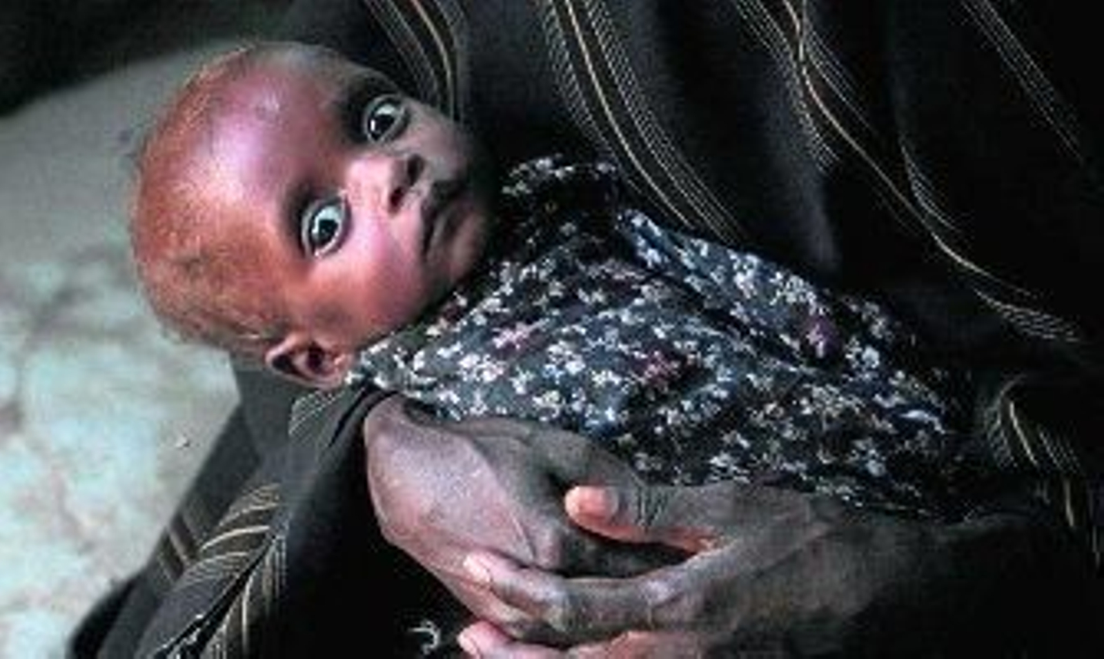 La ONU pide otra partida de 260 millones para el Cuerno de África