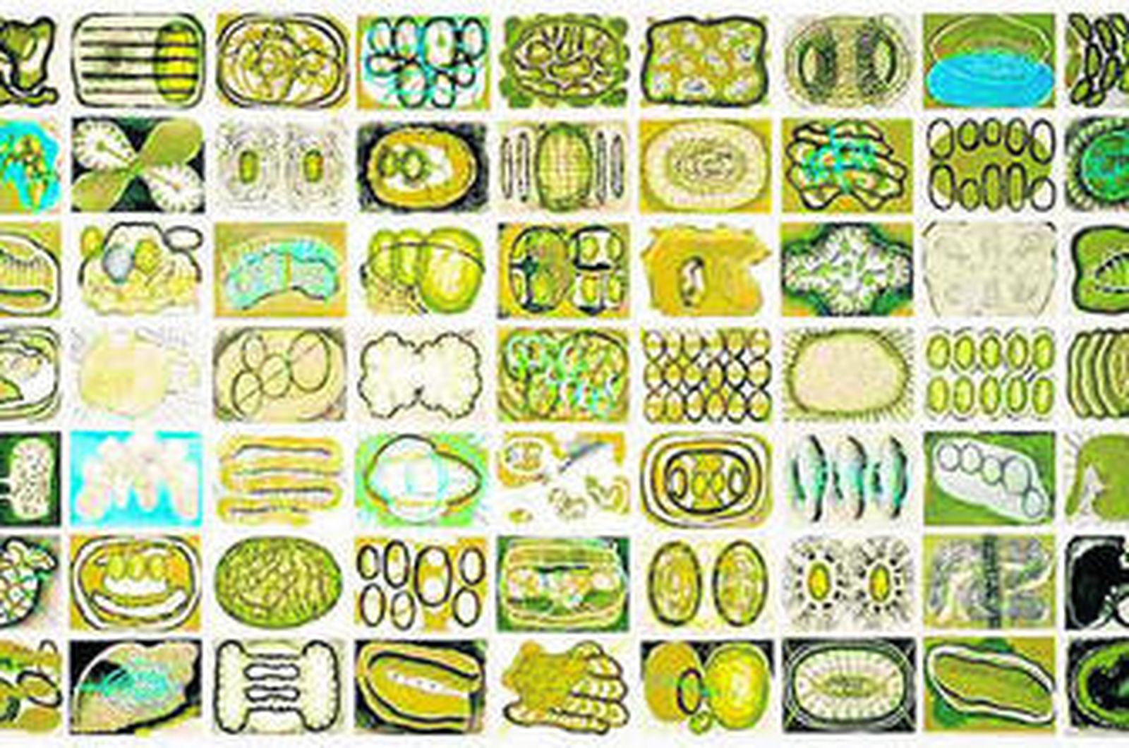 Visión parcial de la 'Serie Limo', el gran recuadro de 63 cuadrículas que puede verse estos días en Málaga.