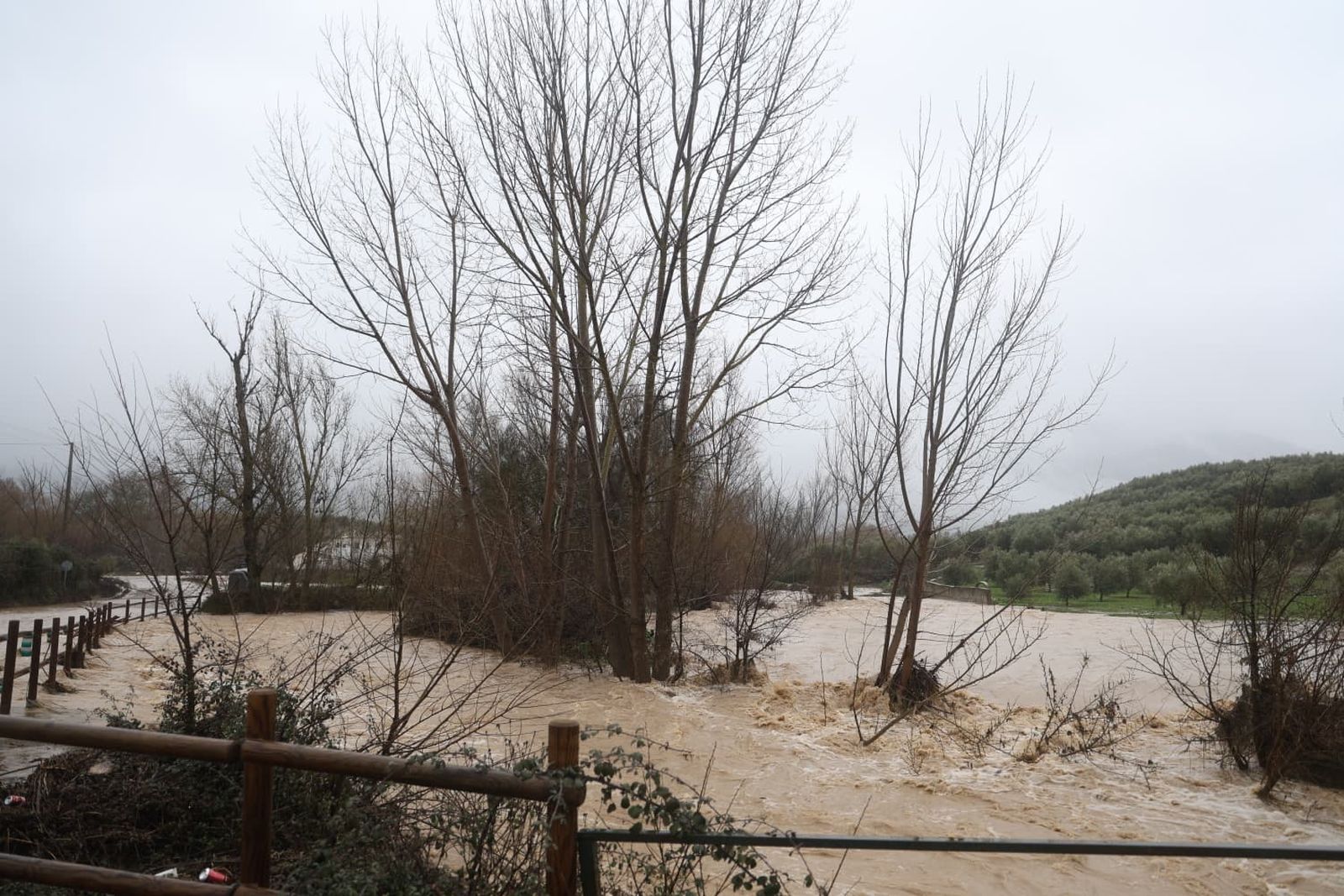 El paso de la borrasca Leonardo, en imágenes