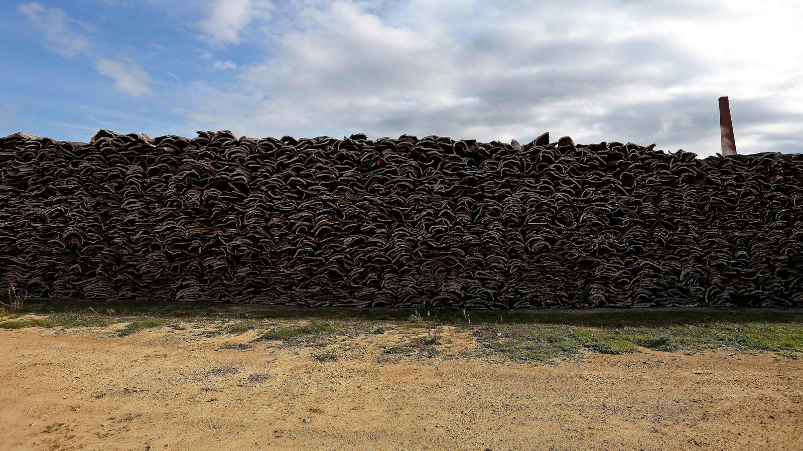 Las mejores fotos de la finca La Almoraima