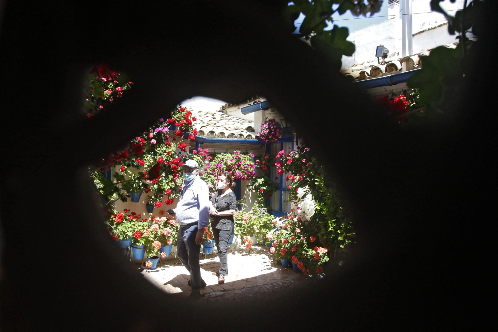 Ruta San Lorenzo de los Patios de Córdoba, en imágenes