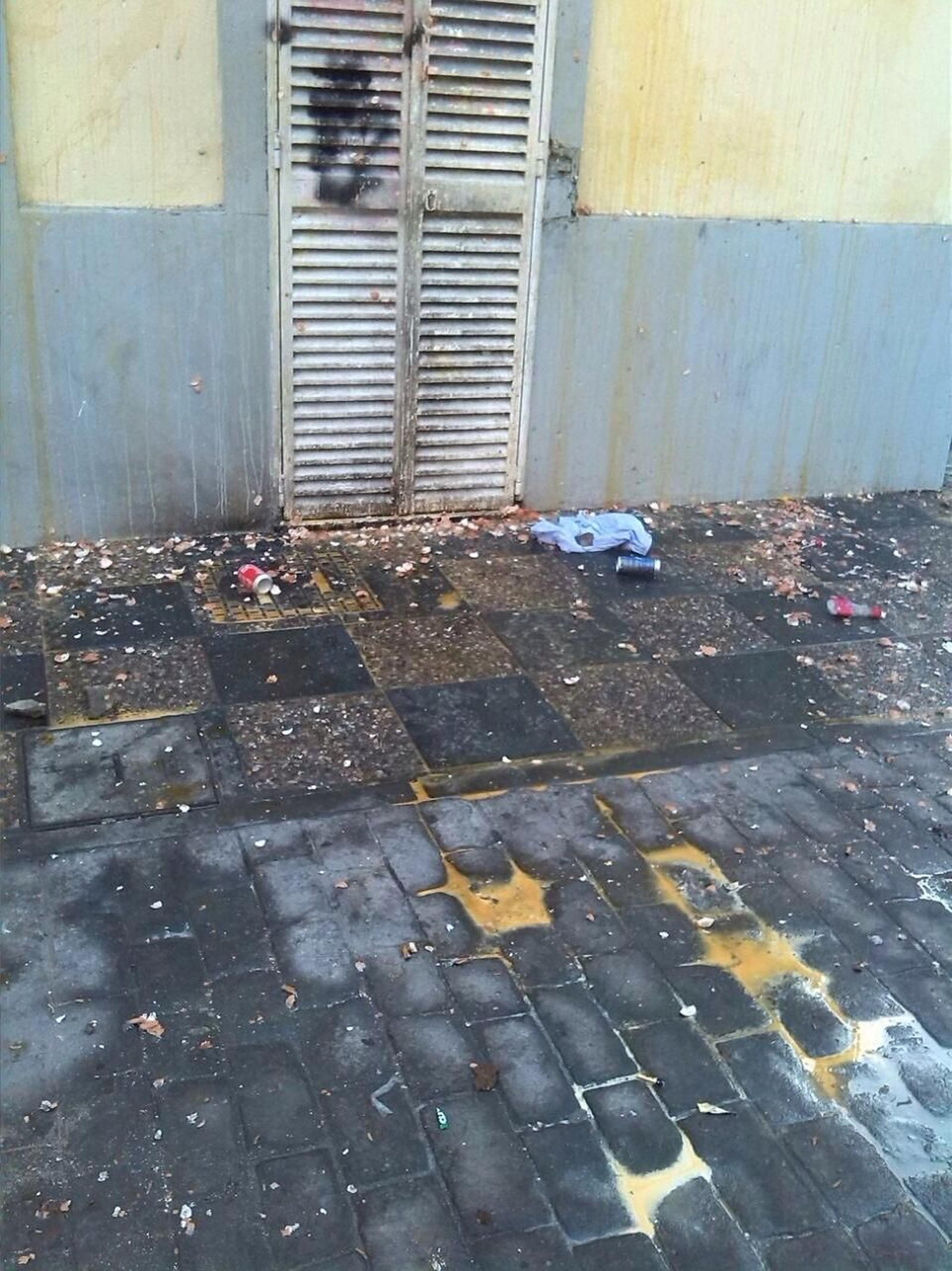 Decenas de cáscaras de huevos , frente a una casa, en San Bernardo.