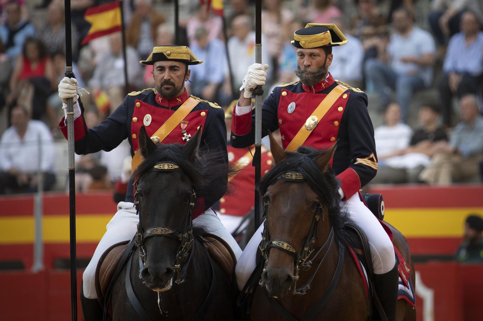 La exhibición del Ejército en la Plaza de Toros de Granada, en imágenes