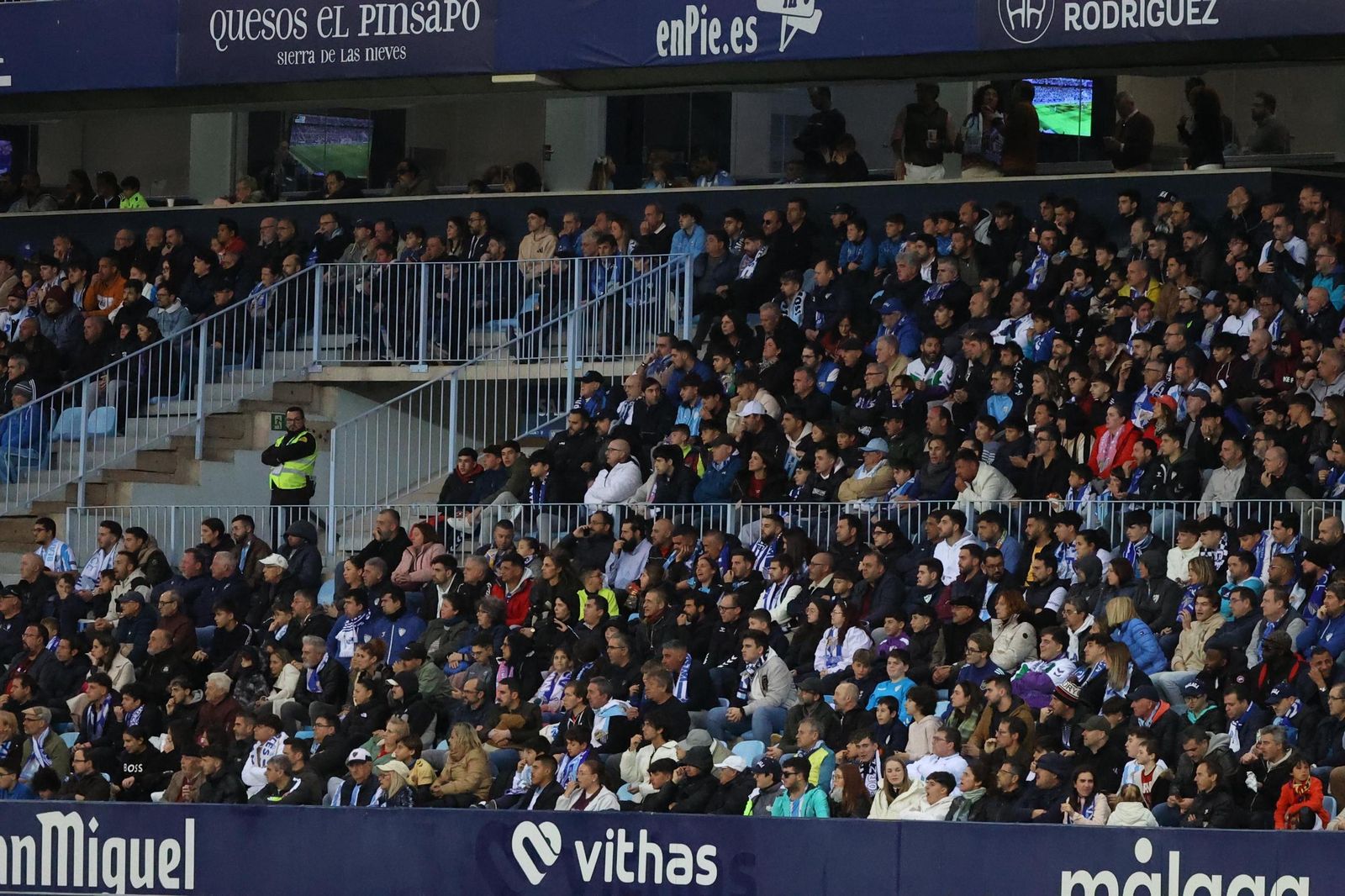 Búscate en las gradas de La Rosaleda en el Málaga-Levante