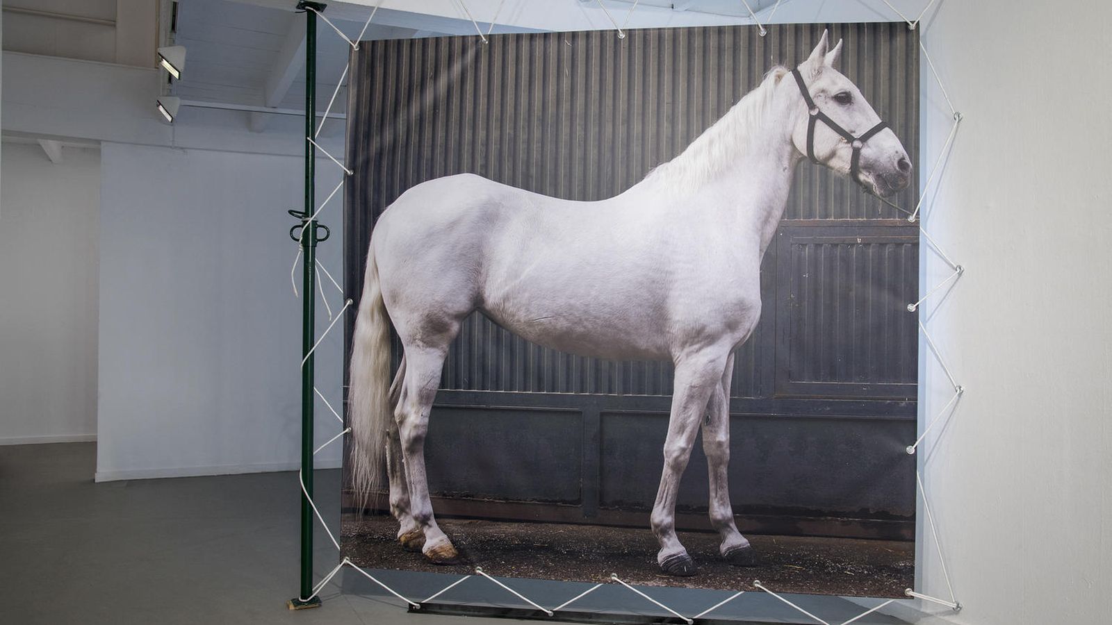 Retrato de 'Triana' en la exposición que acoge en Sevilla la galería Alarcón Criado.
