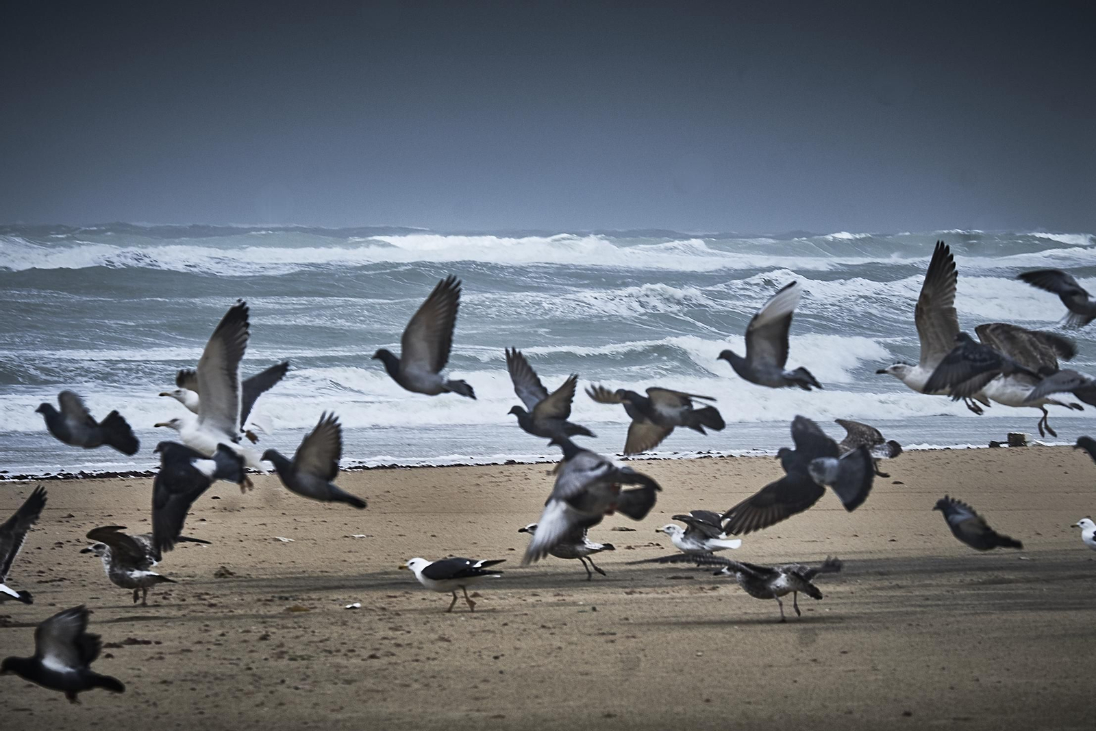 Efectos del temporal en Cádiz