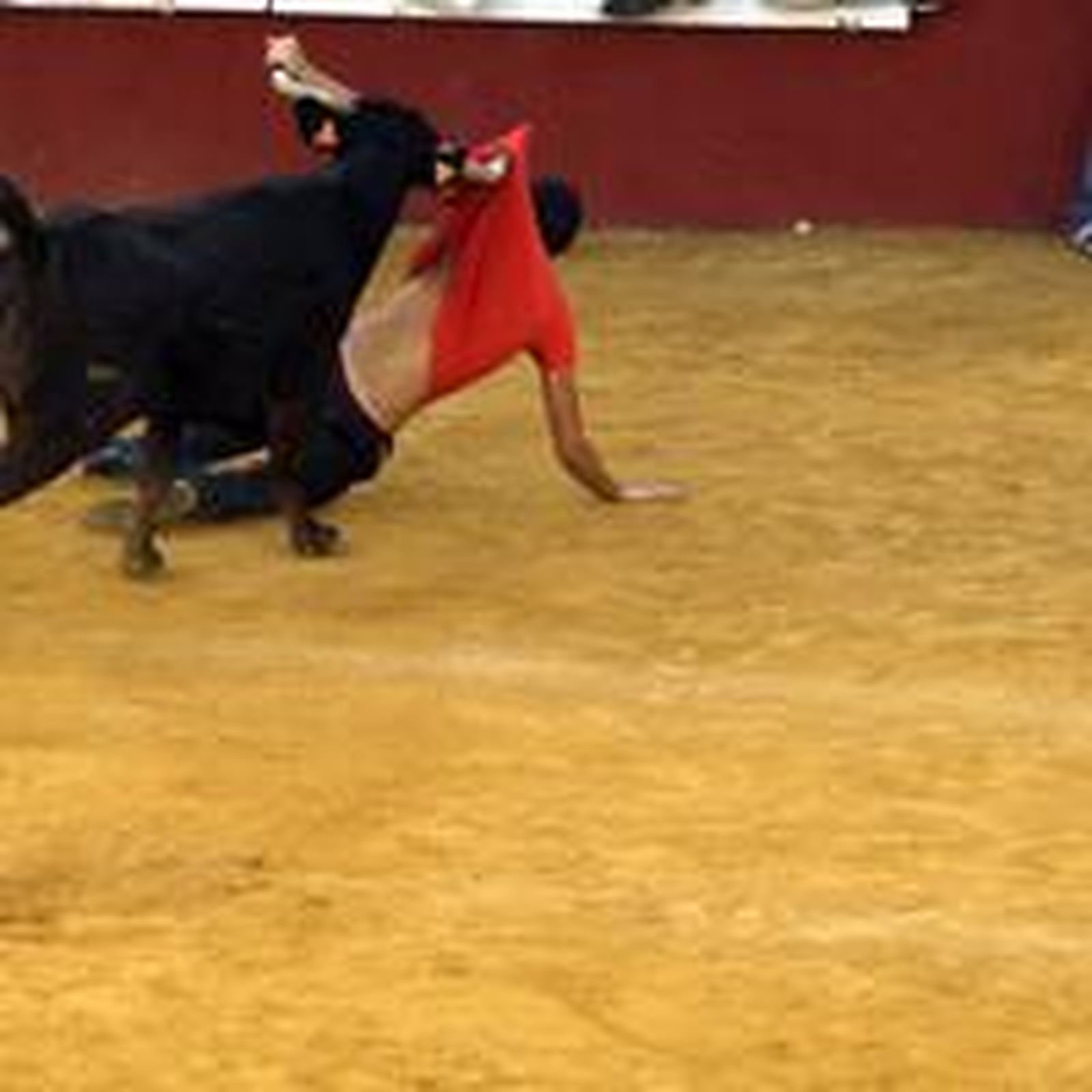 Con la suelta del llamado Toro del Aguardiente se pone el broche de oro a la feria de la localidad. No hubo que lamentar graves incidentes./Fotos:Paco Guerrero

Foto: Paco Guerrero