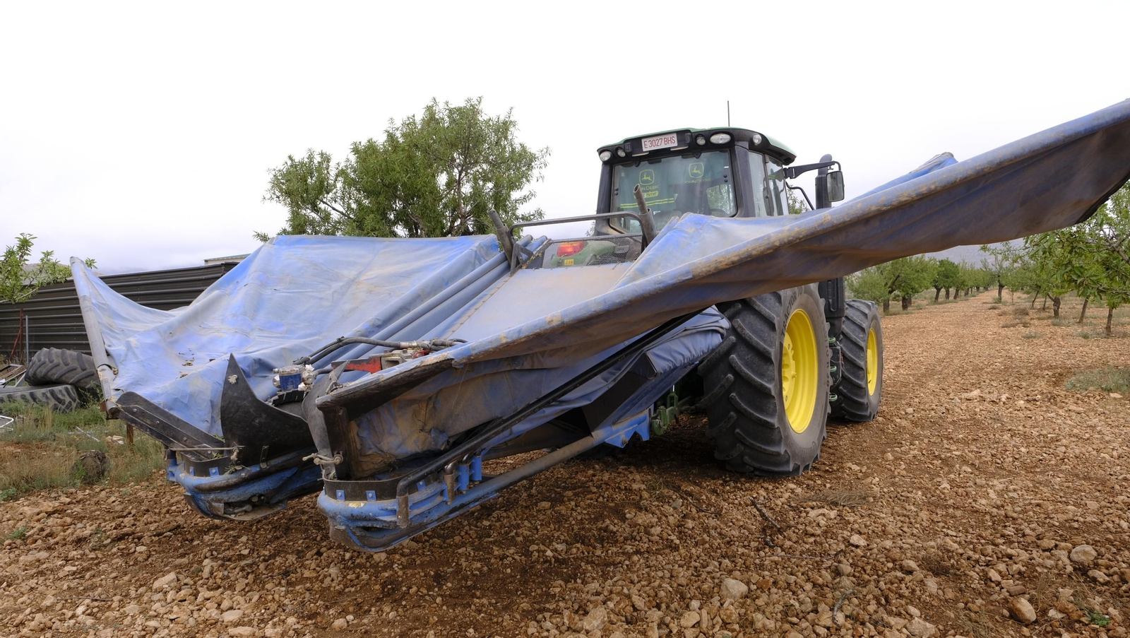 Imágenes de la almendra ecológica de Chirivel
