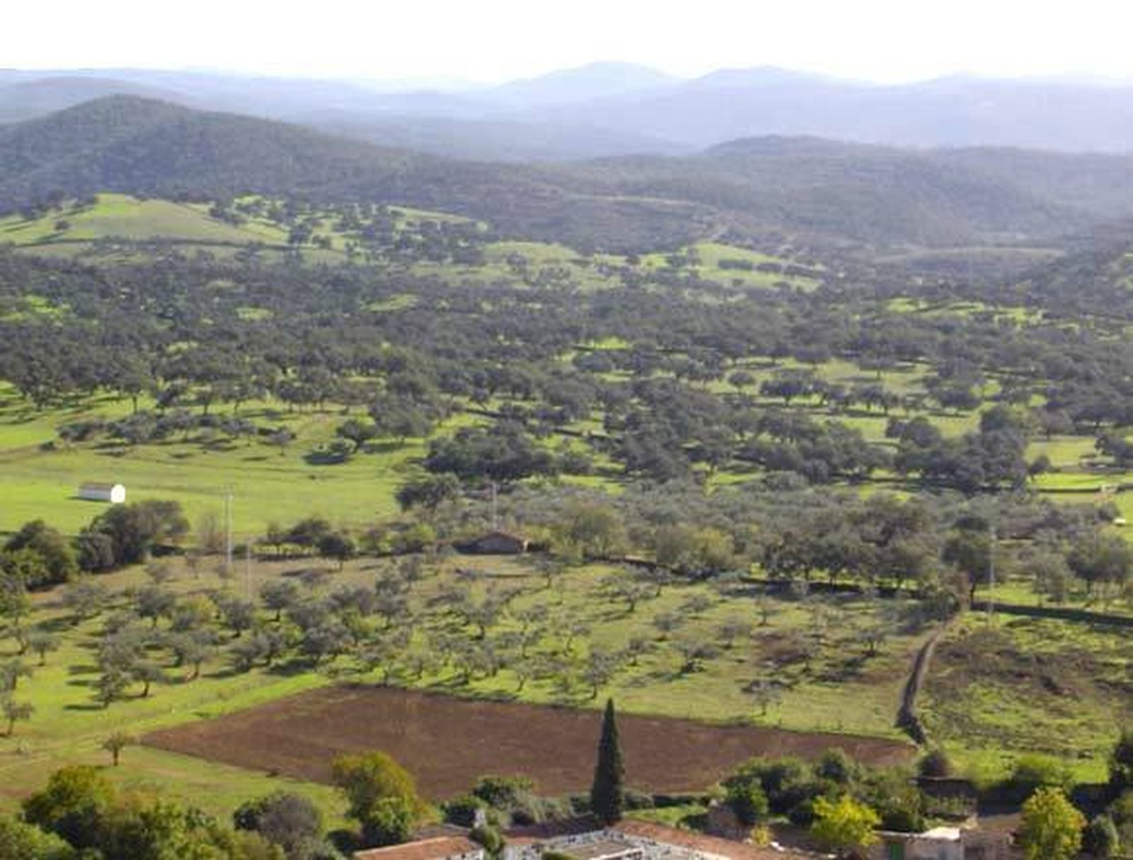 Arquitectura de vanguardia en plena Sierra de Aracena