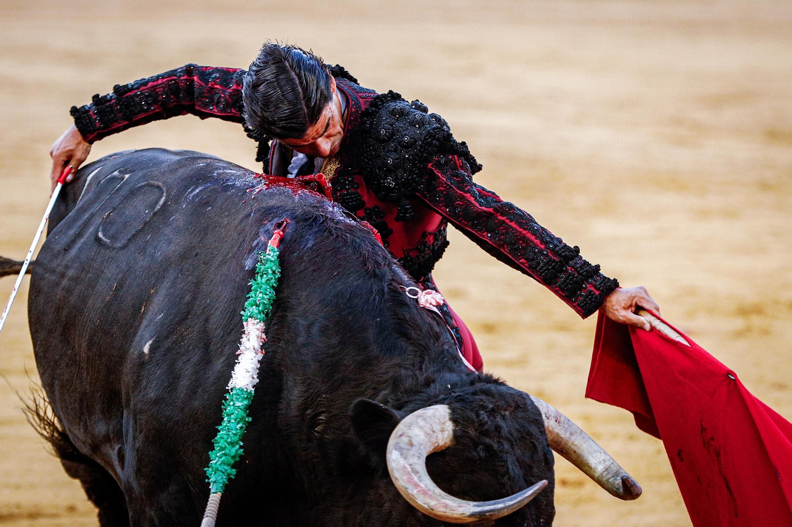 Imágenes de la corrida de toros en El Puerto: Manzanares, Roca Rey y Pablo Aguado