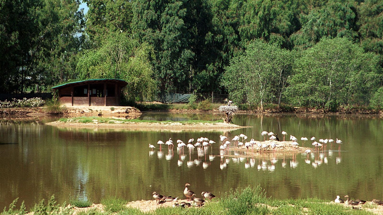Cañada de los Pájaros, en Puebla del Río.