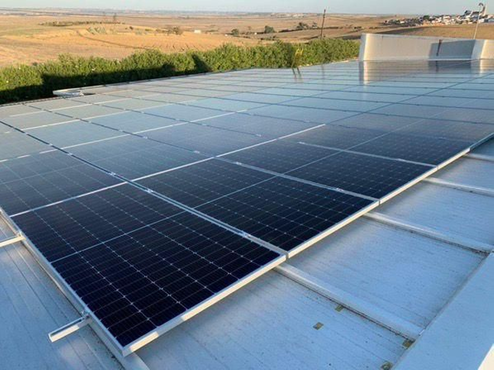 Paneles solares instalados por Iberdrola.