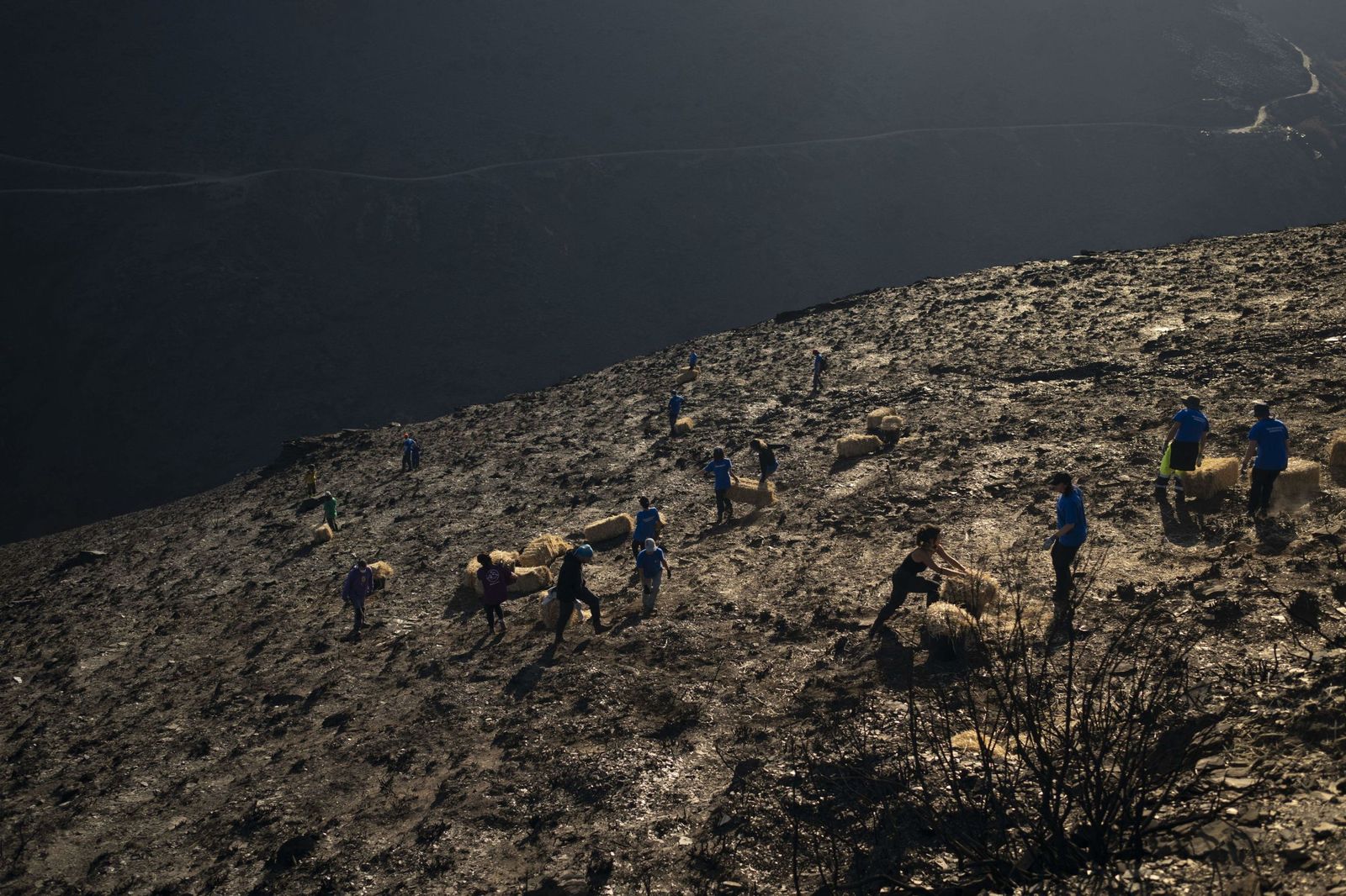 Voluntarios trabajando en el terreno calcinado por los incendios que afectaron a Galicia en agosto.