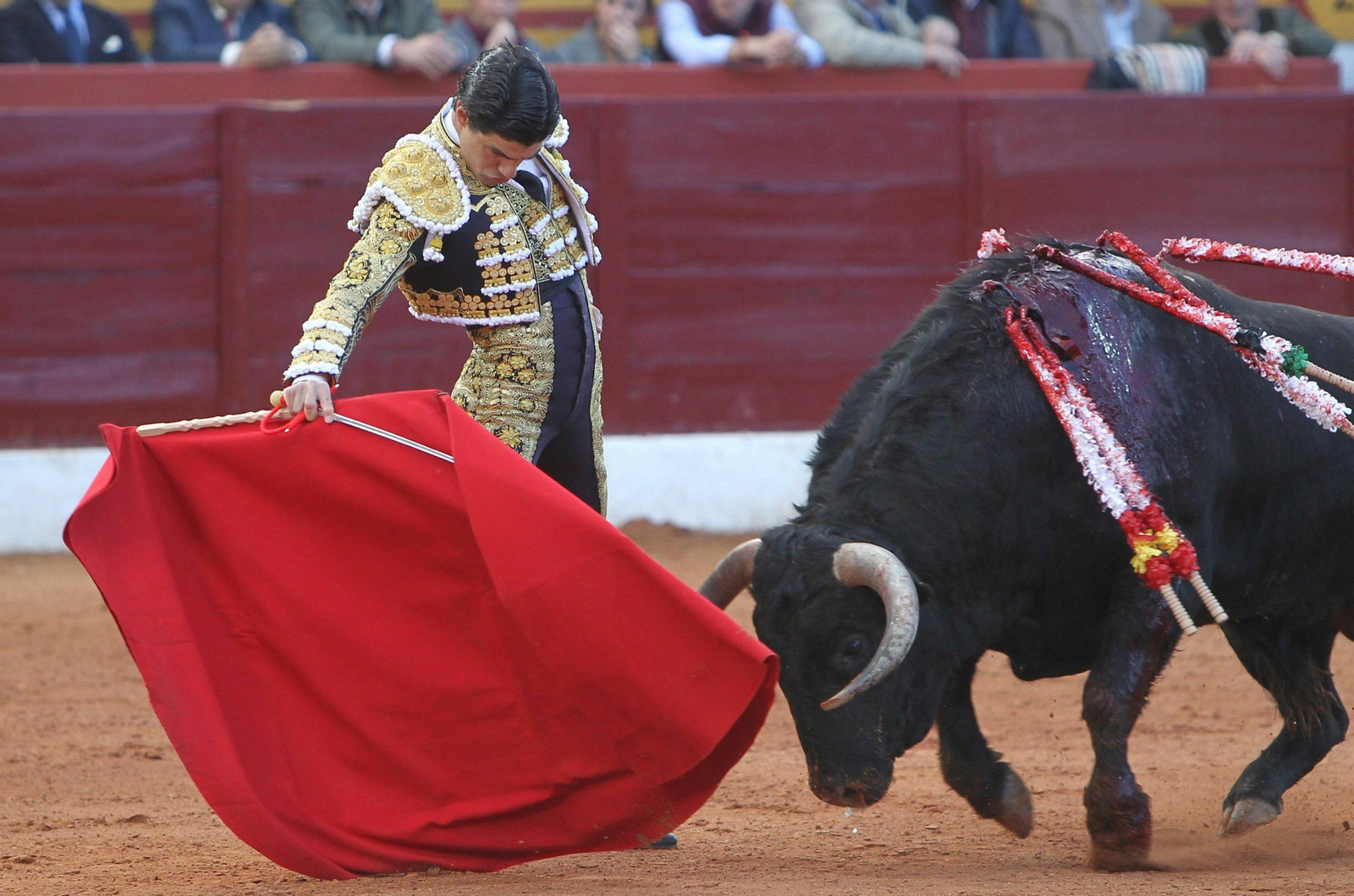 Pablo Aguado torea con la muleta en Olivenza.