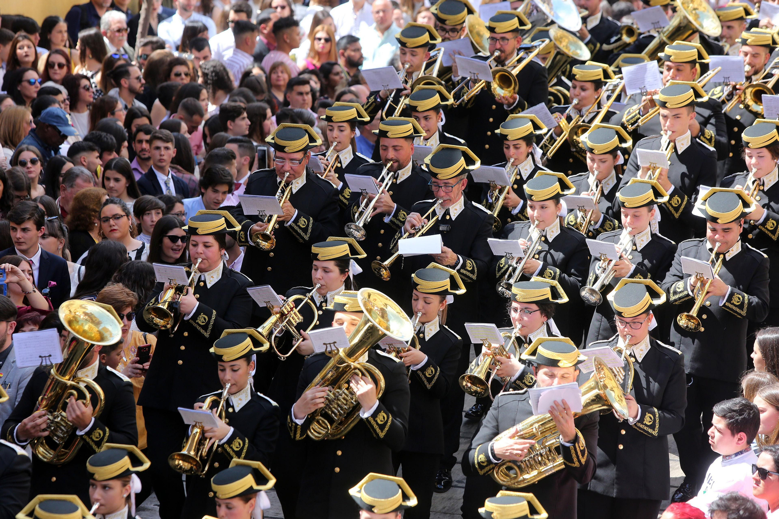 Las mejores imágenes de la Sagrada Cena del Domingo de Ramos 2019