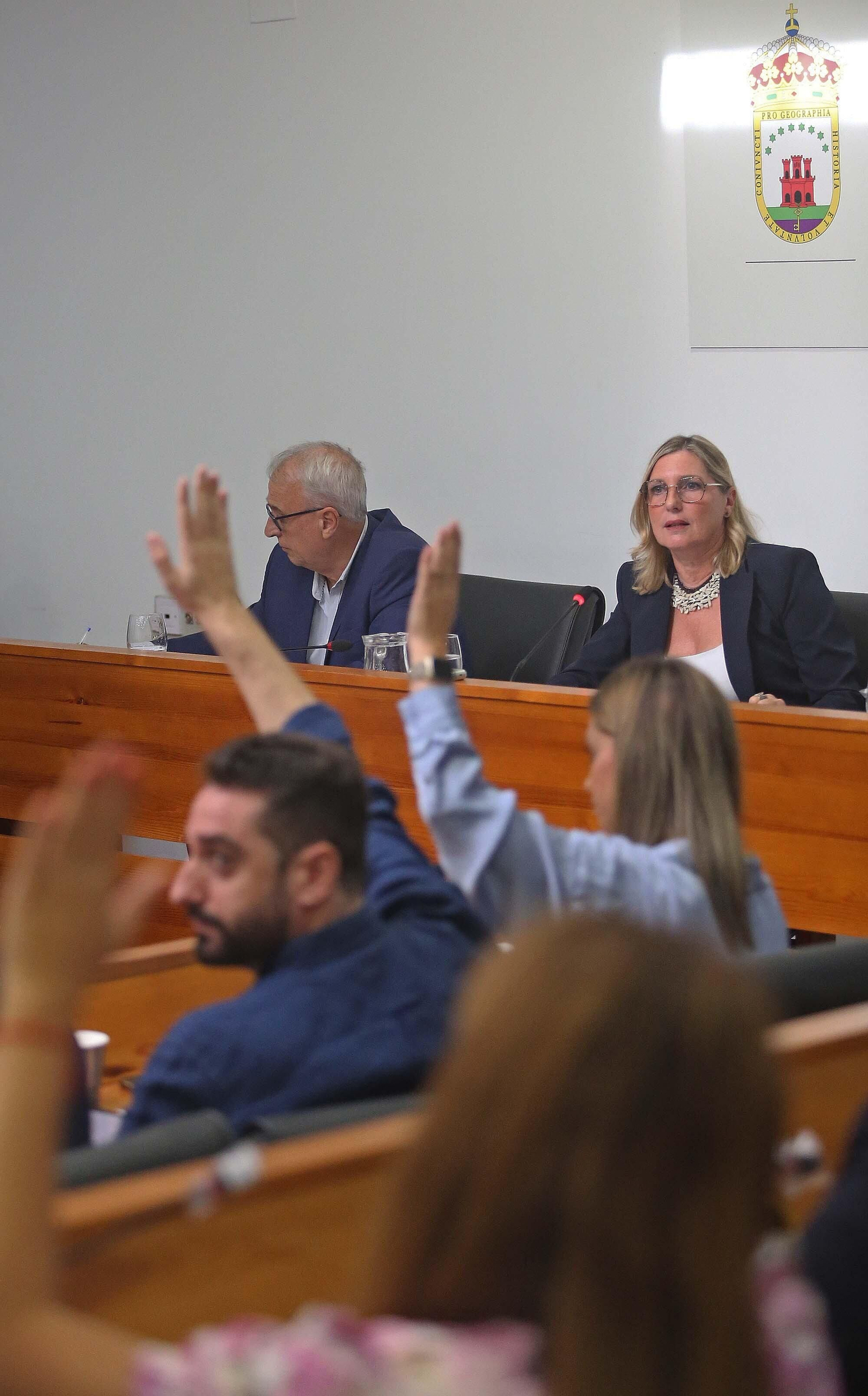 El primer pleno de organización de la Mancomunidad de Municipios del Campo de Gibraltar, en imágenes
