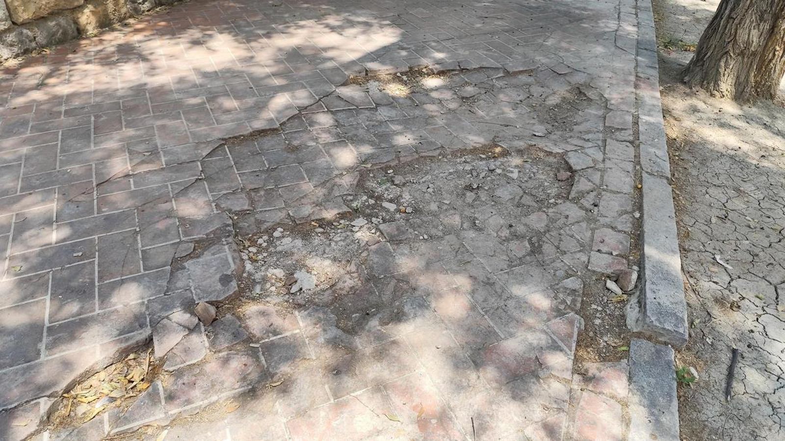 Socavón en el acerado del Parque de la Concordia.