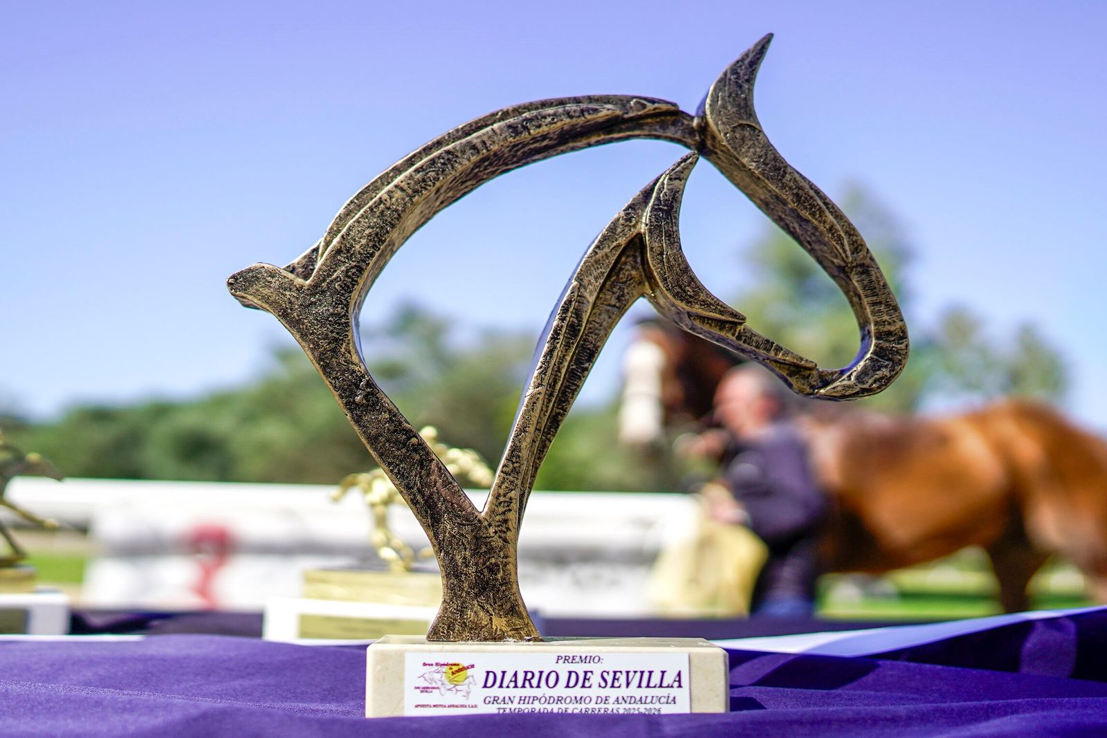 Las fotos del Premio Diario de Sevilla en el hipódromo de Dos Hermanas