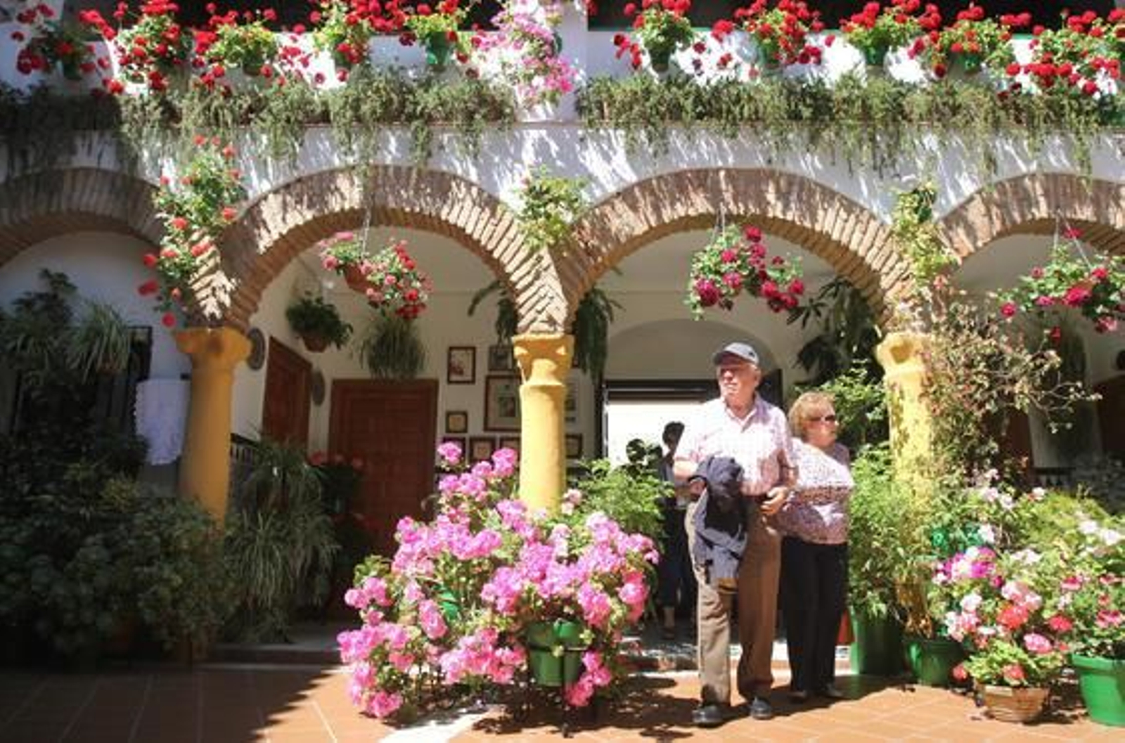 Parras 8.

Foto: Jose Martinez