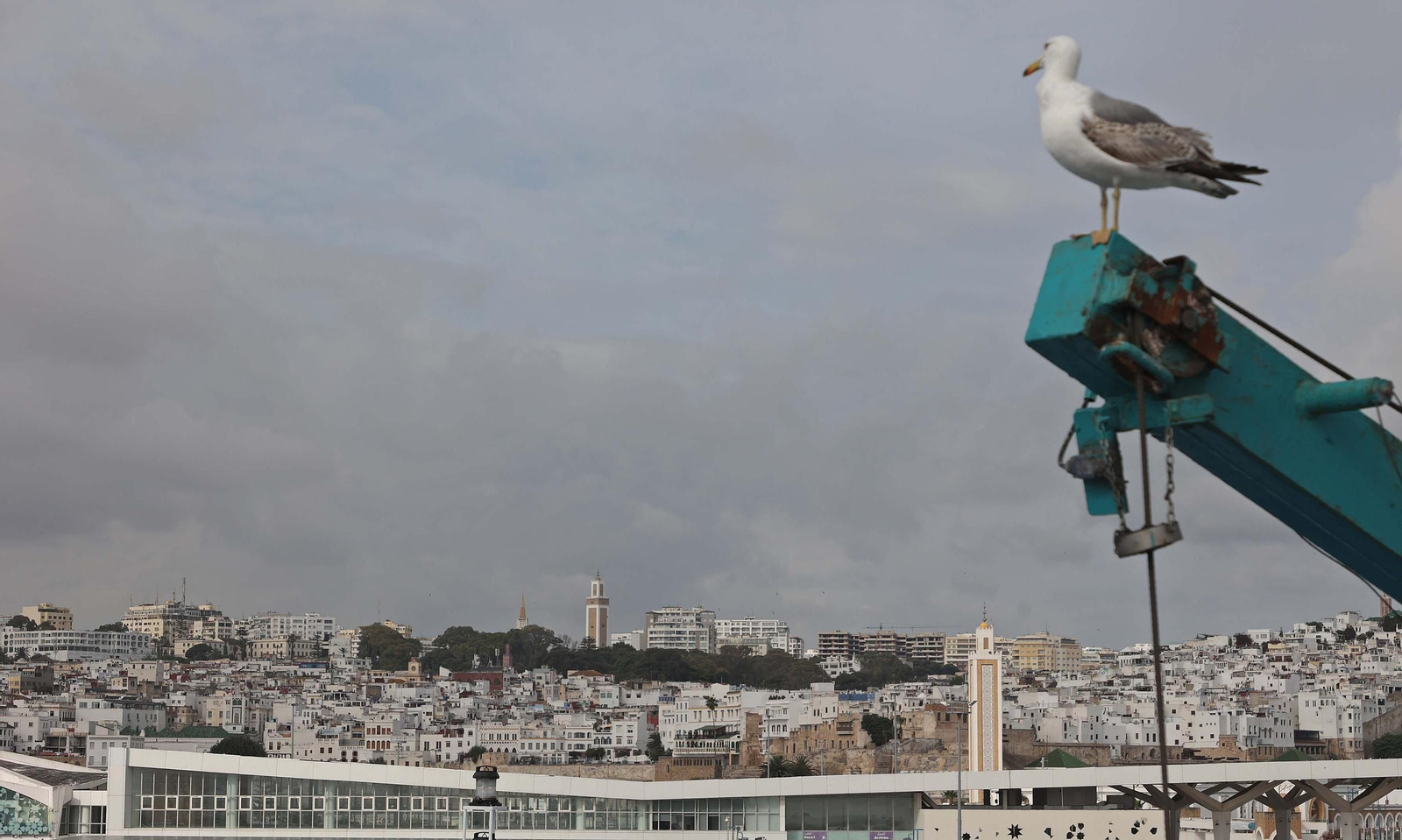 Así fue el primer viaje del 'Avemar Dos' entre Tarifa y Tánger con Baleària, en imágenes