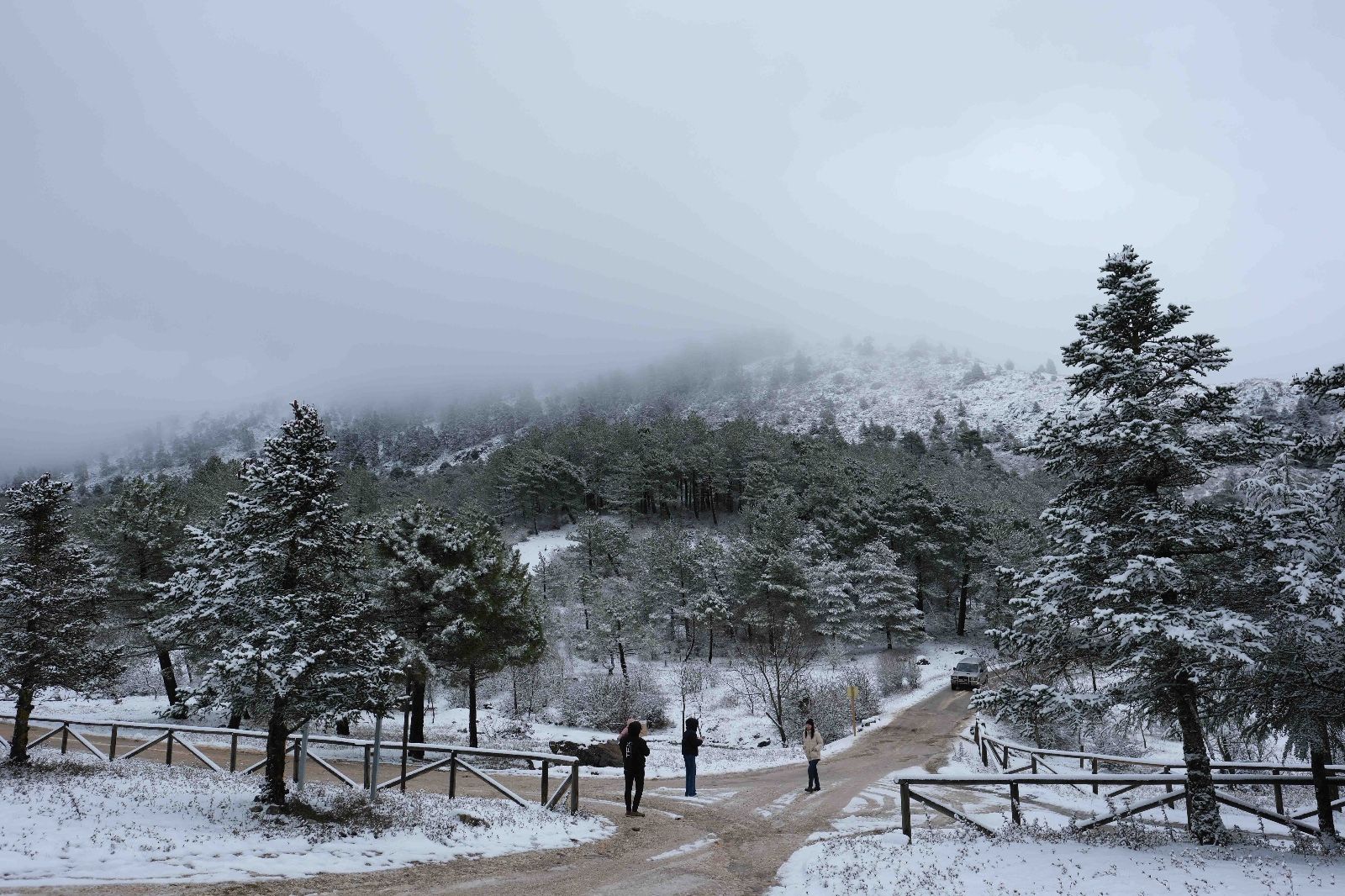 La nieve tiñe de blanco la Serranía de Ronda