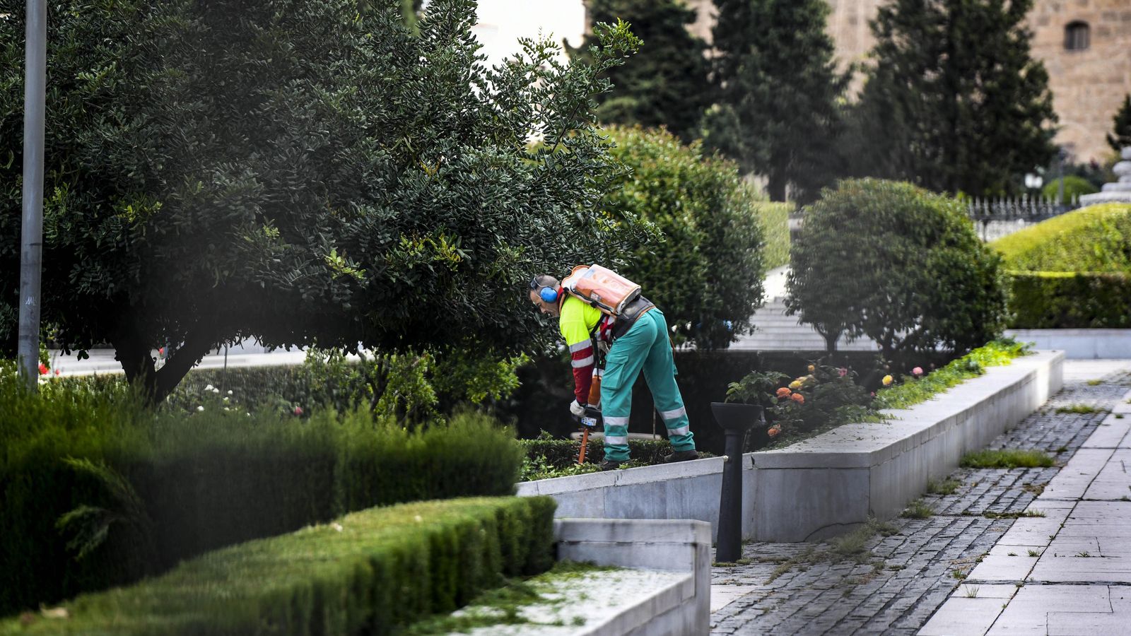 Un operario cuida los jardines de la Plaza del Triunfo de Granada