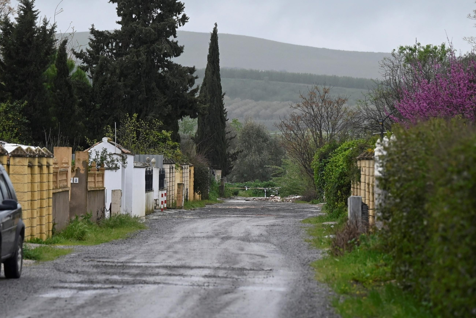 La parcelación de Guadalvalle tras el paso del temporal