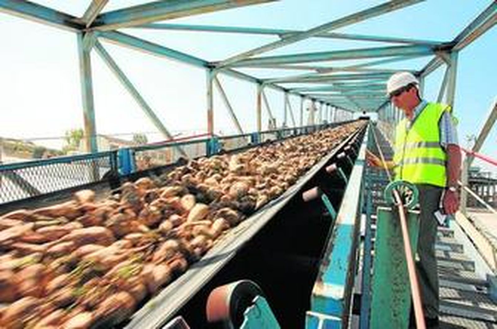 Un operario vigila la entrada en fábrica de la remolacha durante la campaña de 2010.