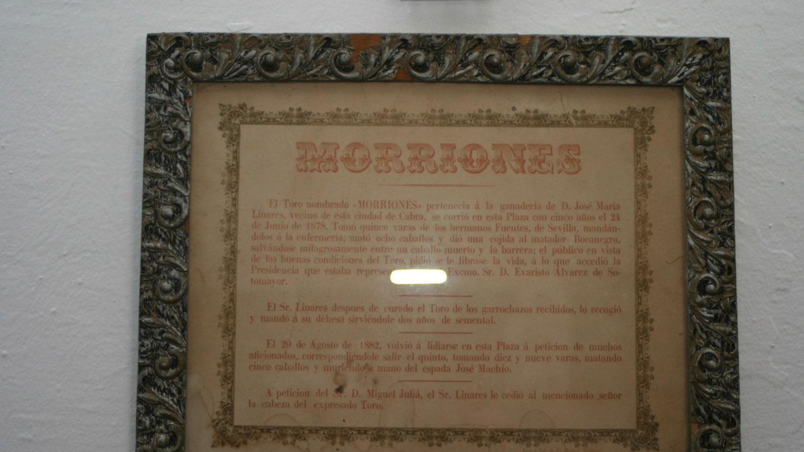 Placa que acompaña la cabeza disecada de Morriones.