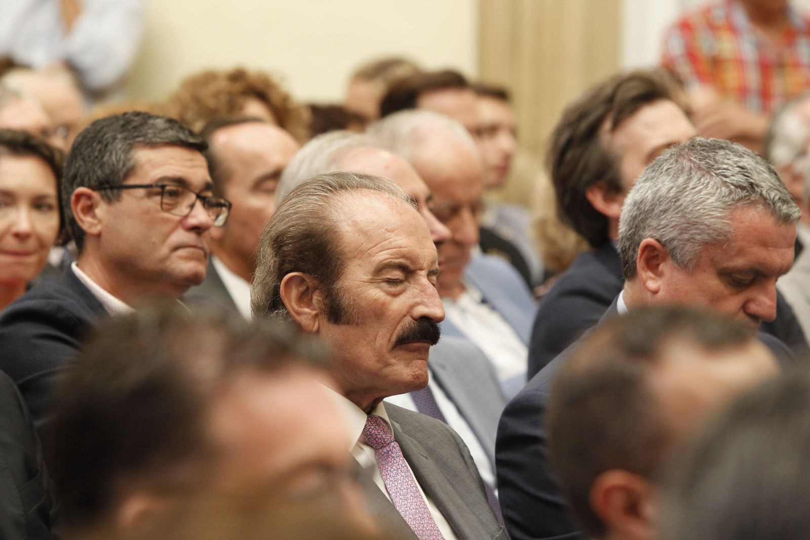 Pleno investidura Presidente Diputación de Almería. Javier Aureliano García