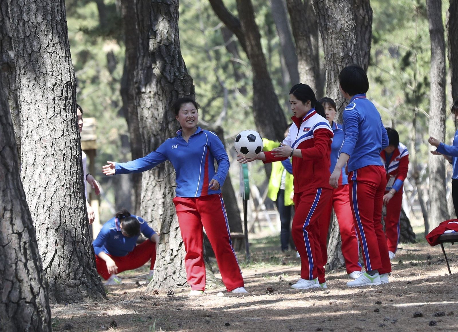 Las norcoreanas se solazan en el pinar Olazábal sigue arrastrando a las masasLa mirada de Plaza, digna de la final