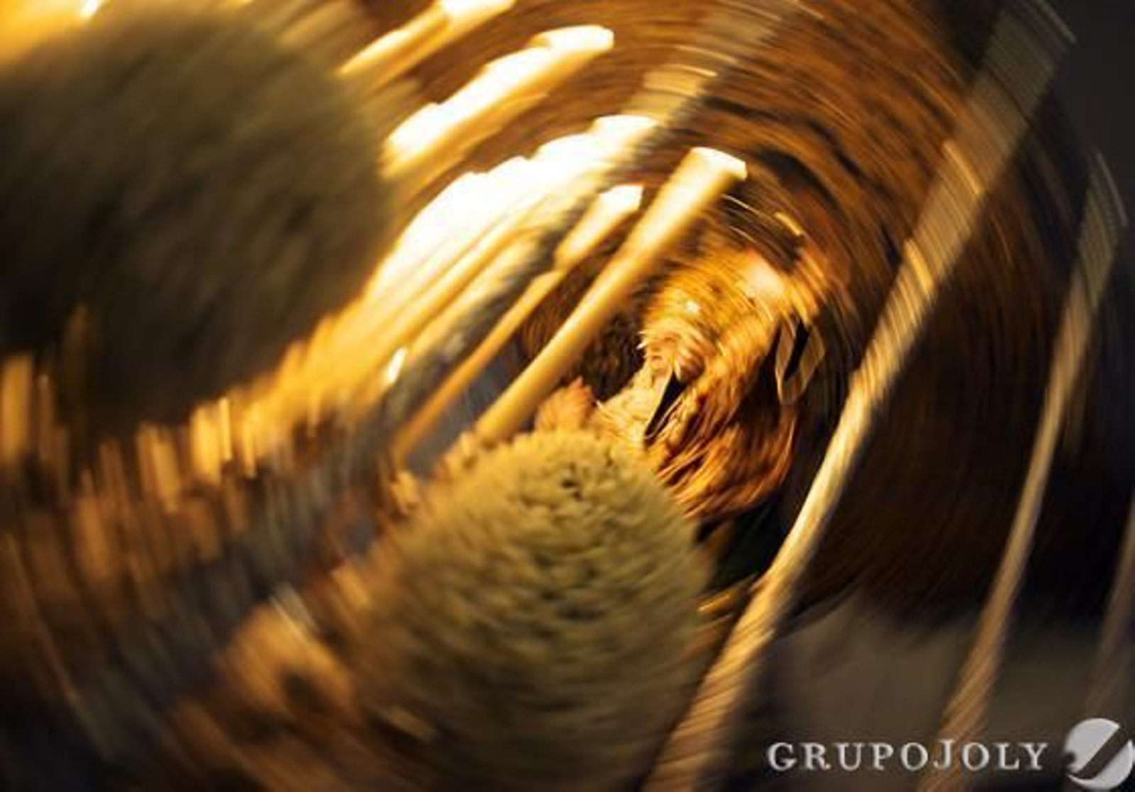 Foto: Juan Carlos Munoz