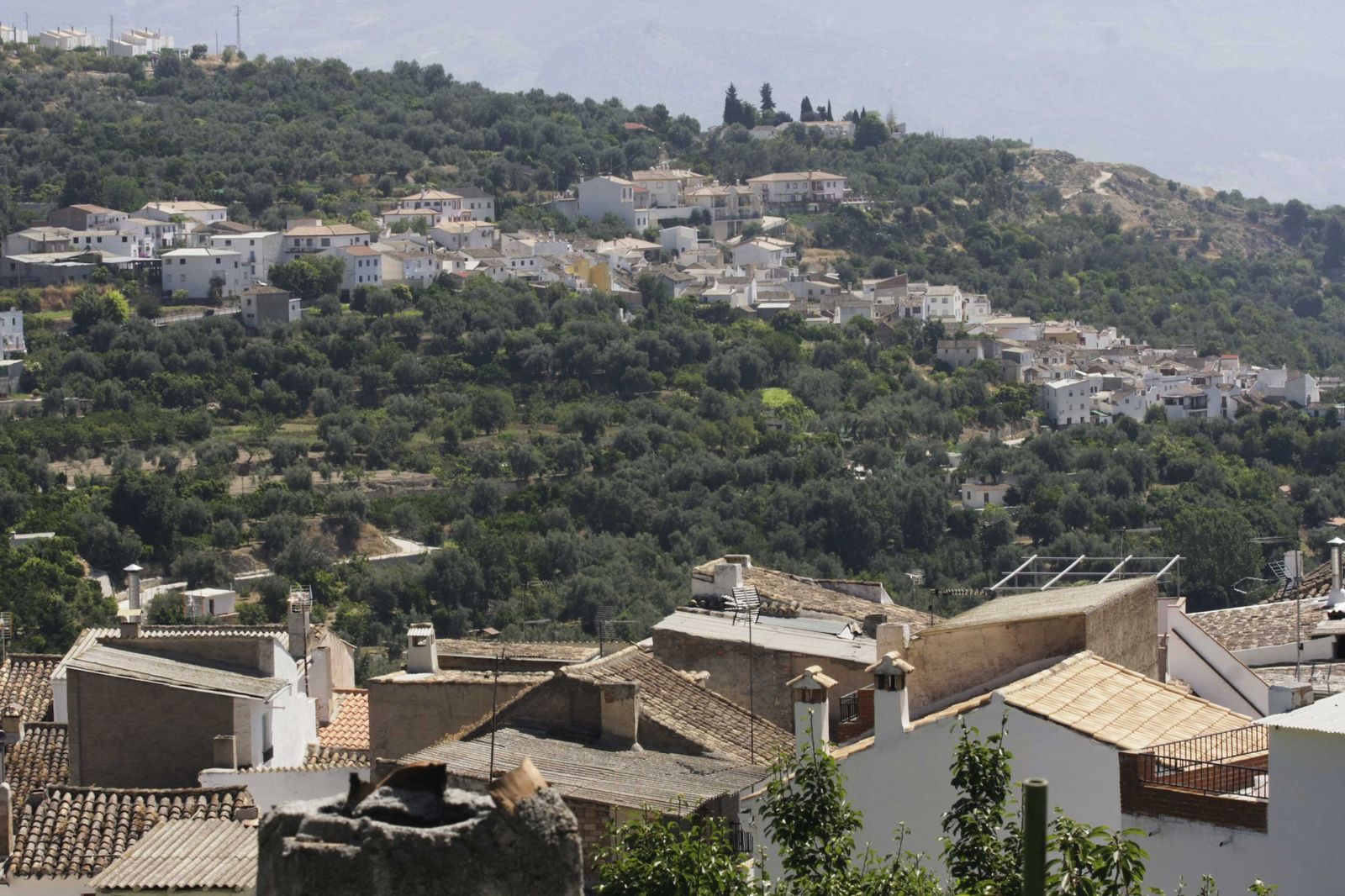 Albuñuelas, municipio donde sucedieron los hechos