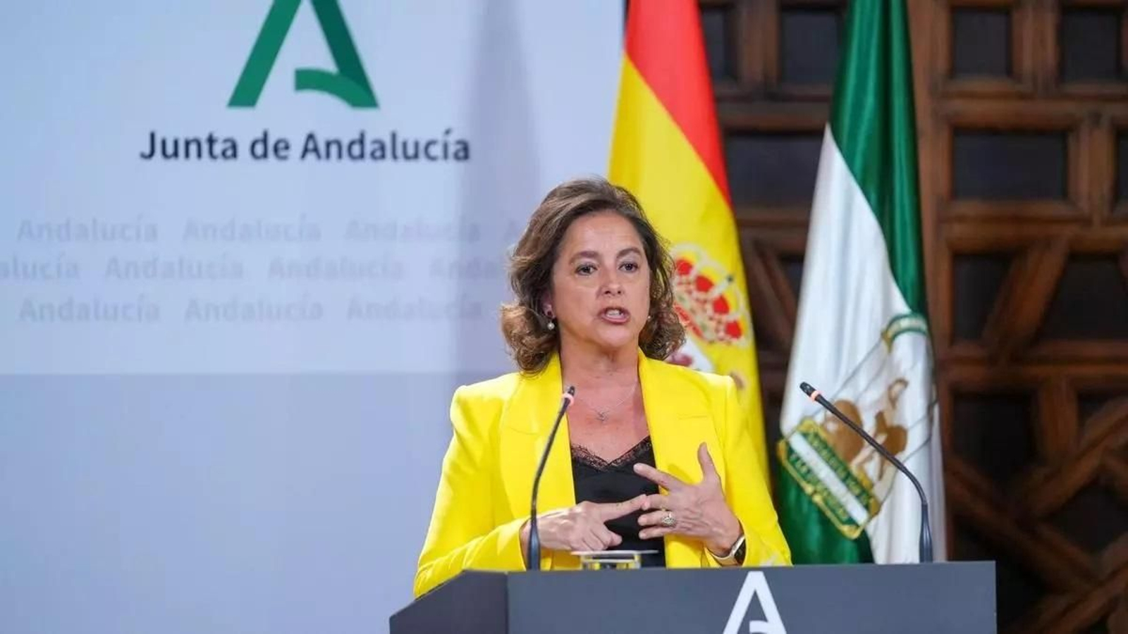 Catalina García, consejera de Salud de la Junta de Andalucía Catalina García, consejera de Salud de la Junta de Andalucía