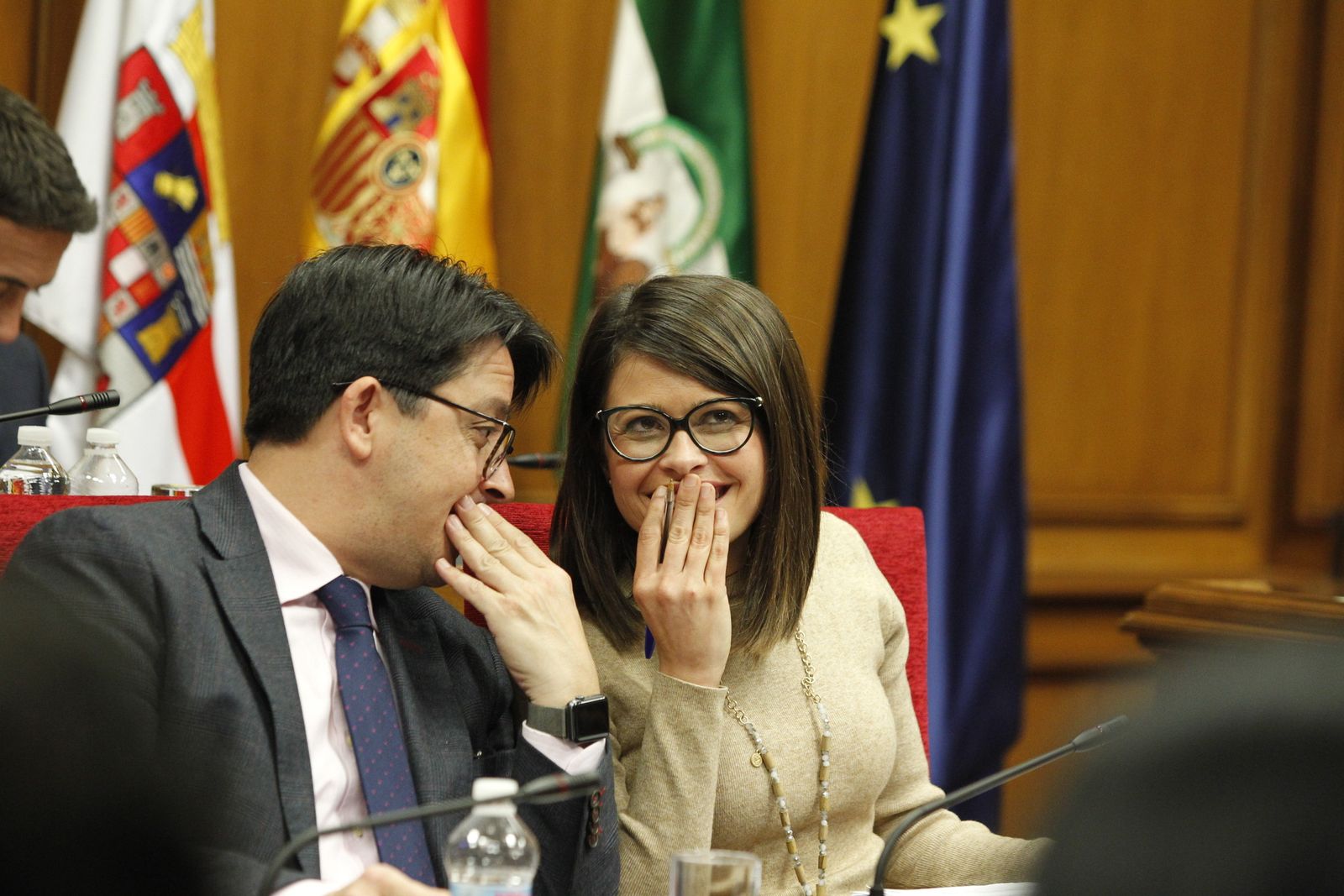 Fotogalería Pleno Ordinario Diputación de Almería