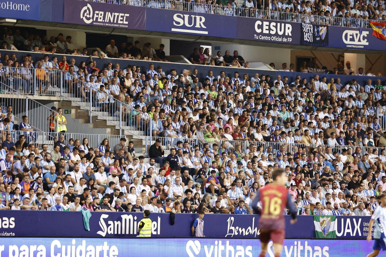 Las fotos del Málaga CF-Deportivo