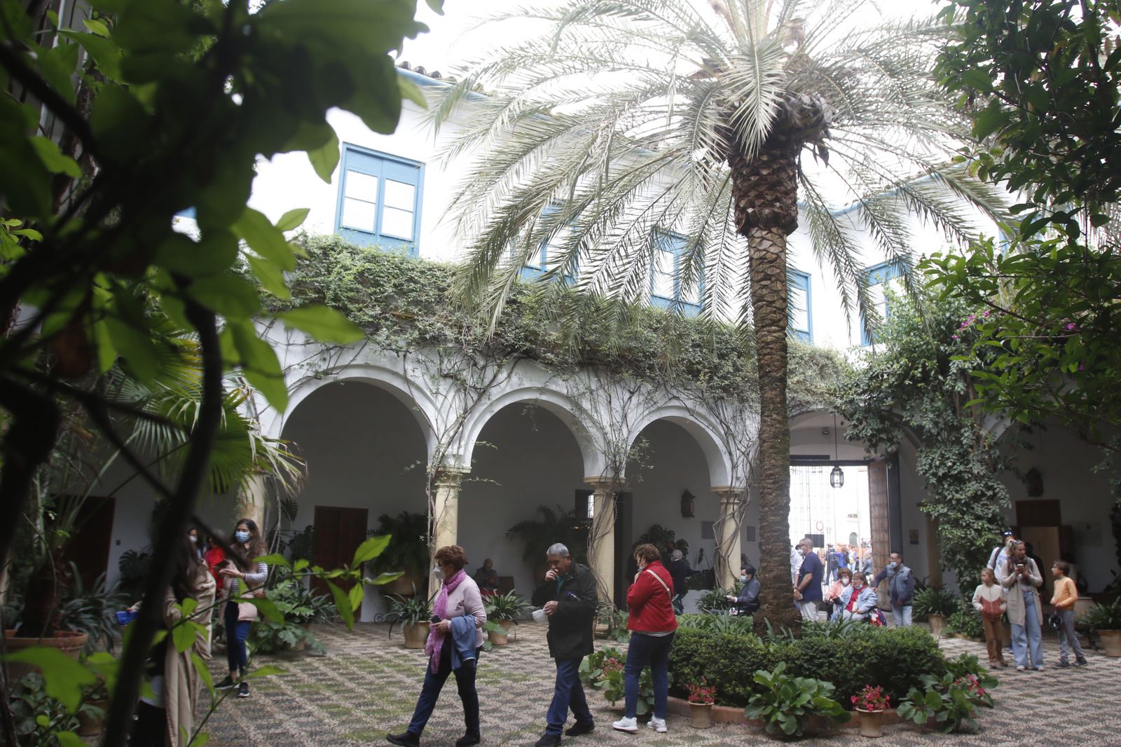 La jornada de puertas abiertas del Palacio de Viana, en imágenes