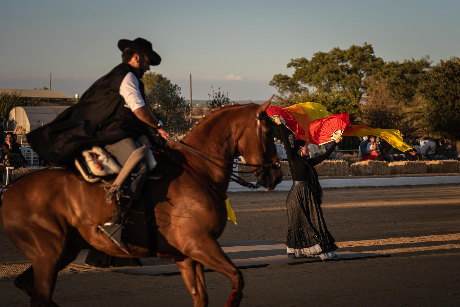 El espectáculo Flamencab en imágenes