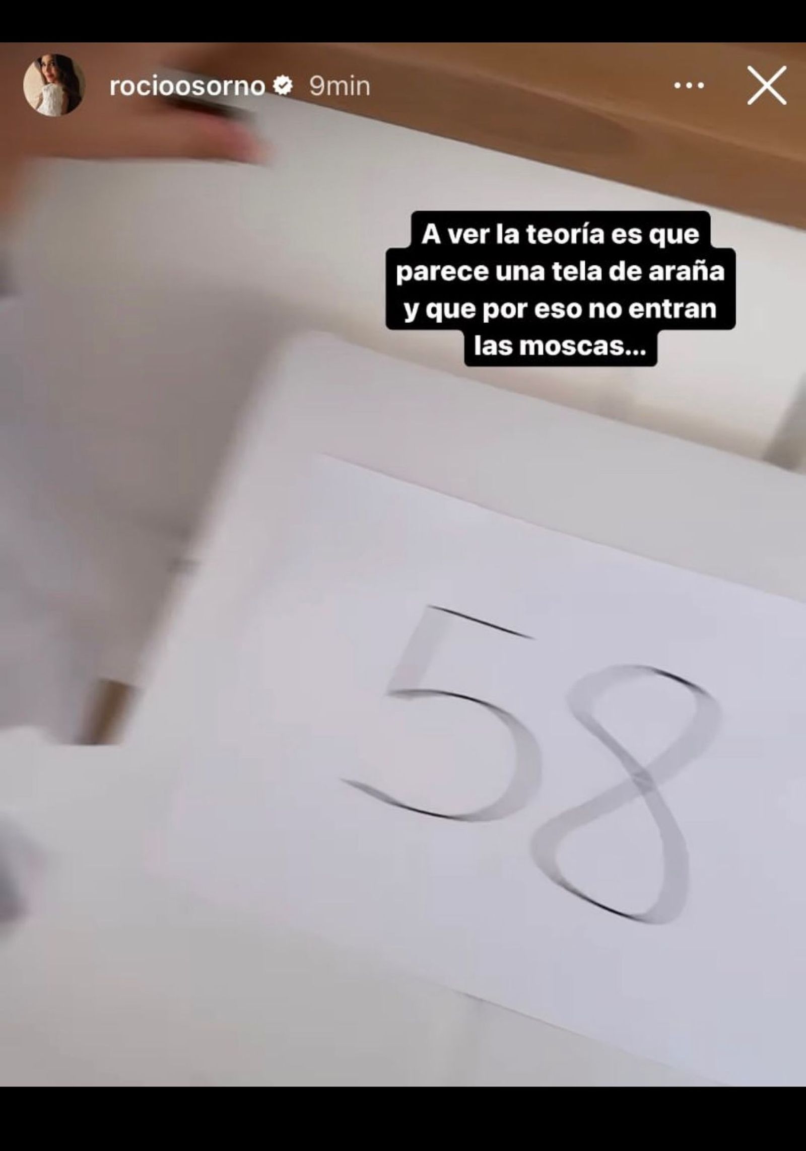 Teoría del número 58 y las moscas