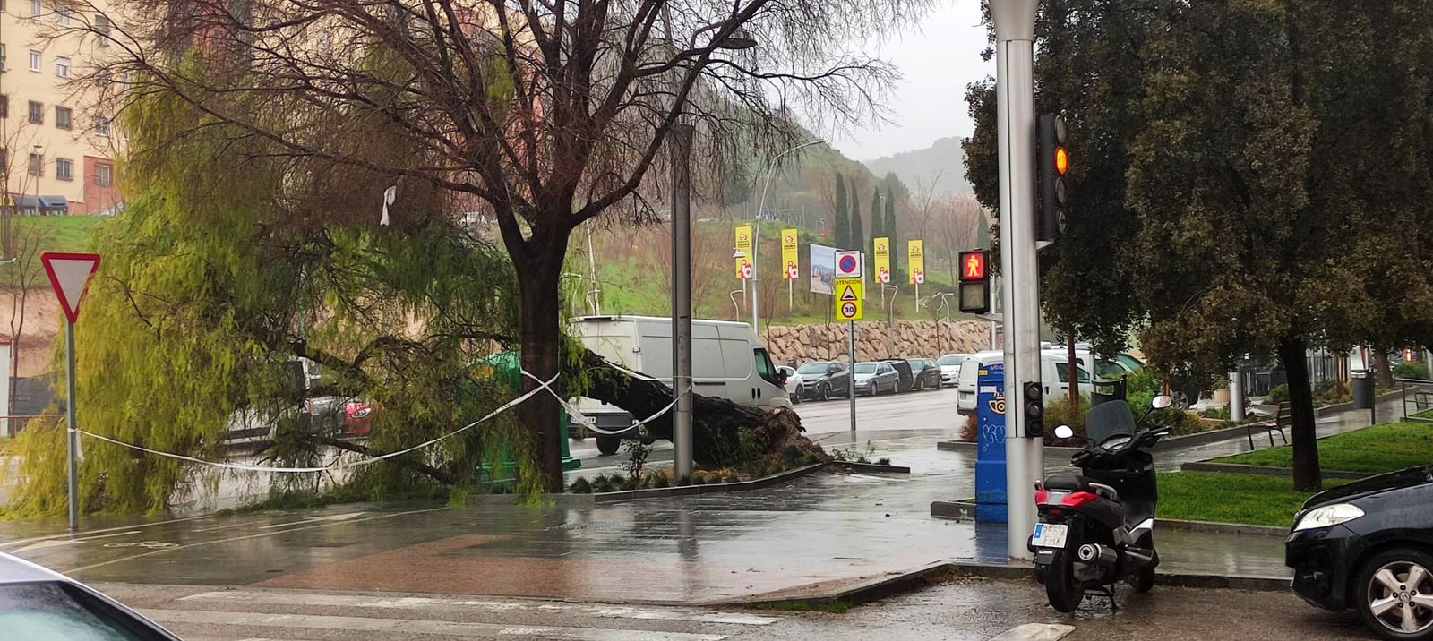 Las caídas de ramas y árboles de grandes dimensiones es una constante en todos los municipios de Jaén debido a la borrasca Kristin.