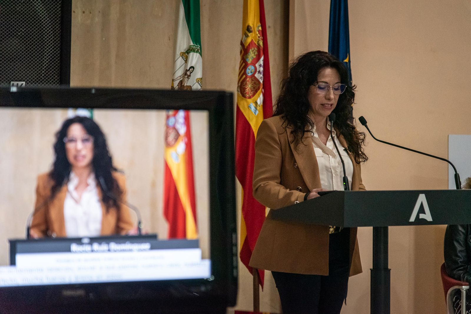 La consejera de Igualdad en la presentación de la campaña.