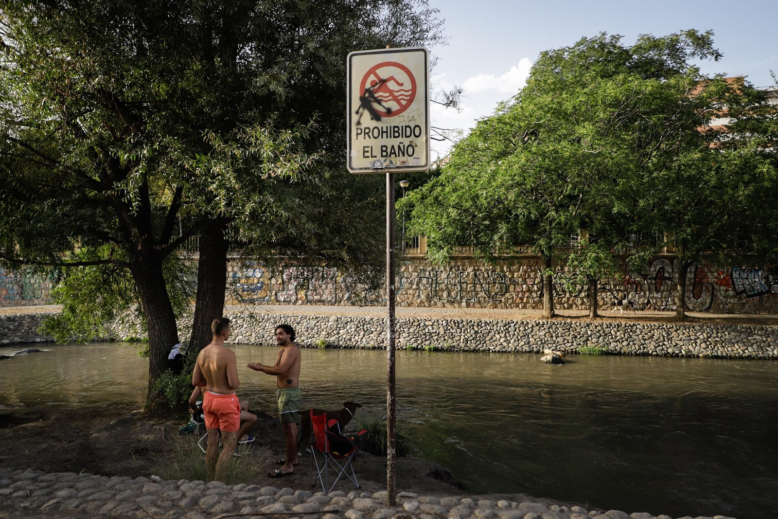 Las mejores imágenes del baño prohibido en Granada: el río Genil como refugio contra el calor