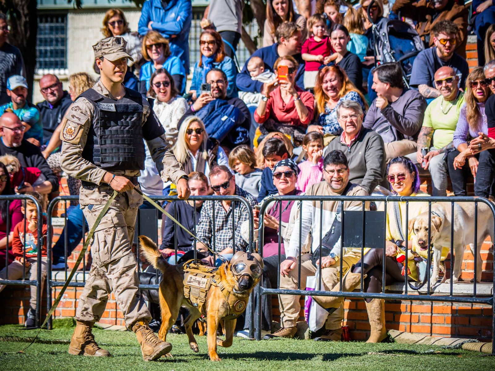 Las imágenes de San Antón 2025 en San Fernando