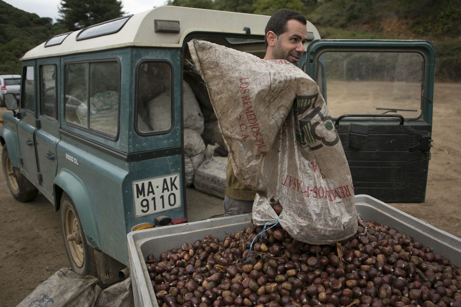 Temporada de castañas en el Valle del Genal