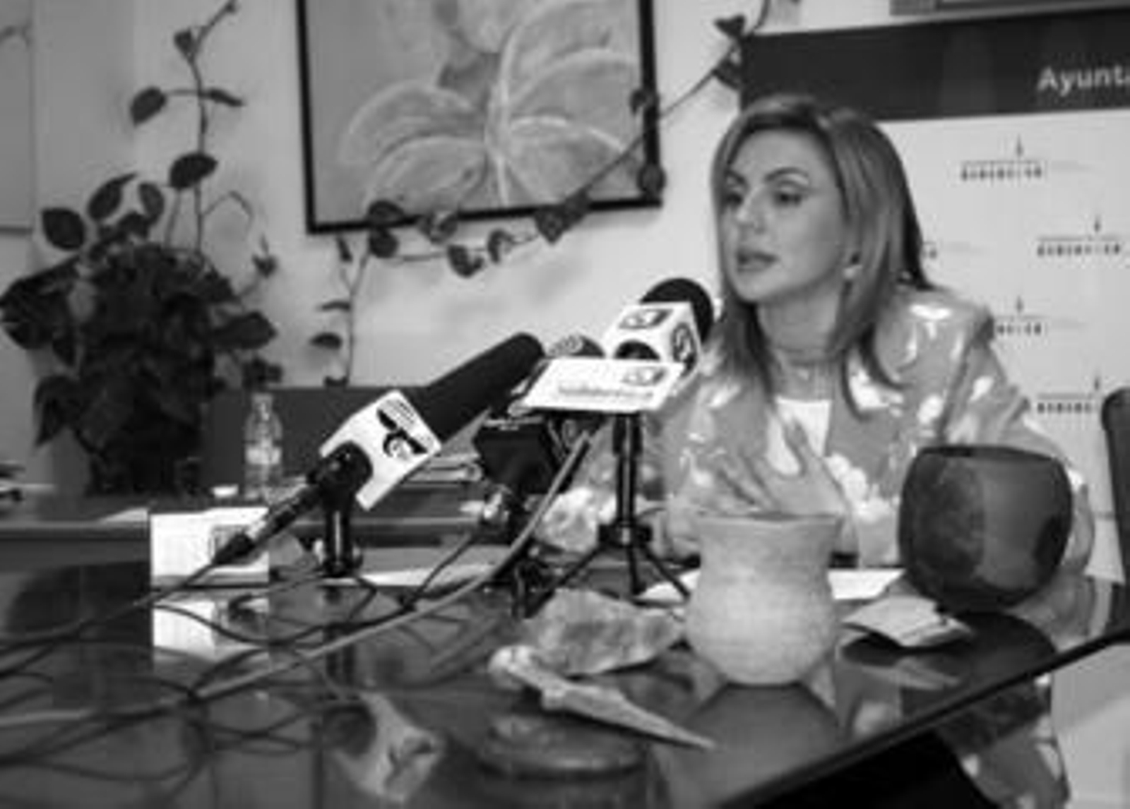 Una de las comparecencias de María José Lara en el Ayuntamiento de Lucena.