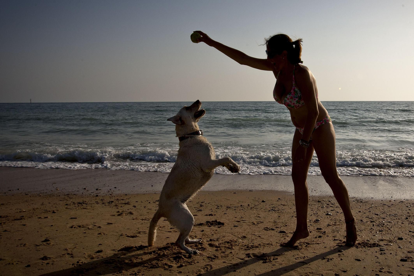 Una mujer juega con su perro en la playa