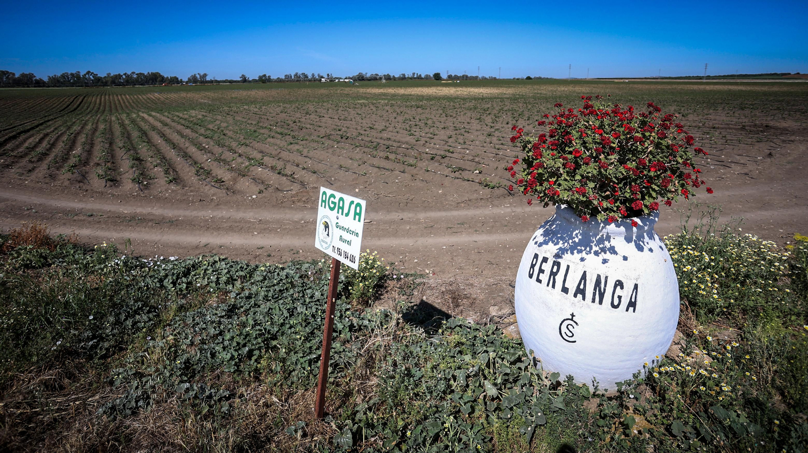 Entrada al Cortijo Berlanga, en la carretera A-389. Entrada al Cortijo Berlanga, en la carretera A-389.