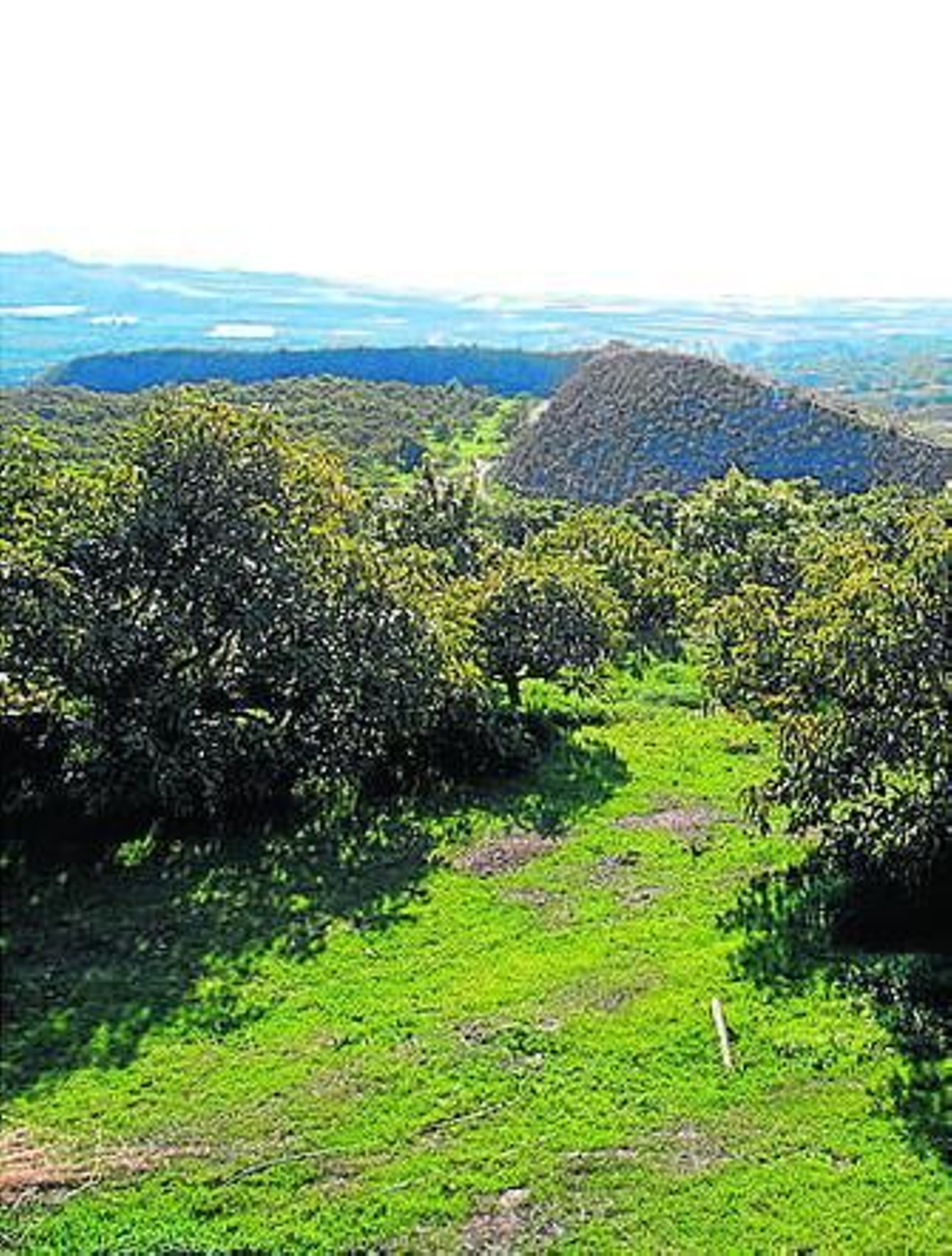 La finca La Pola. La finca La Pola.
