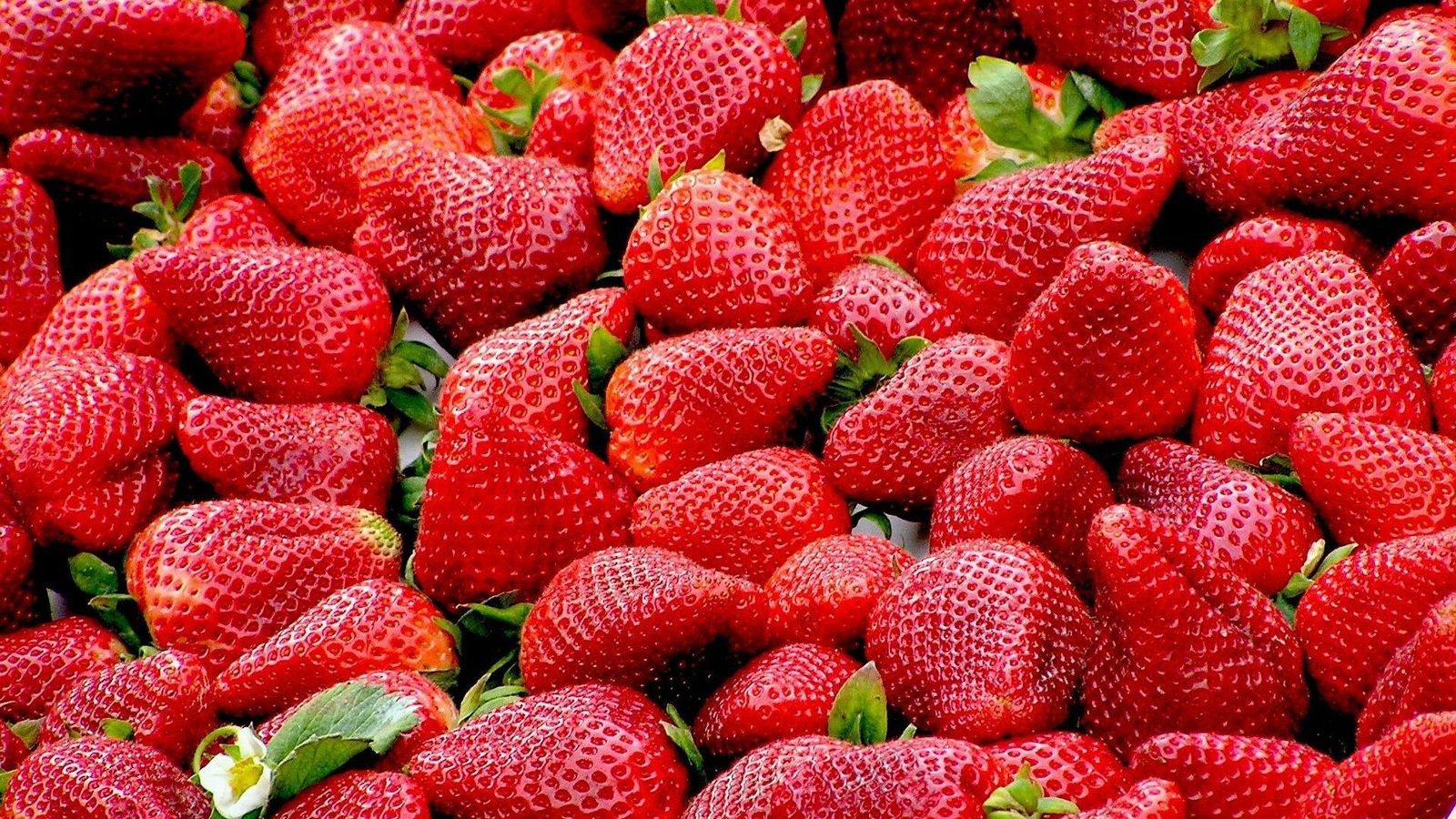 Fresas.
